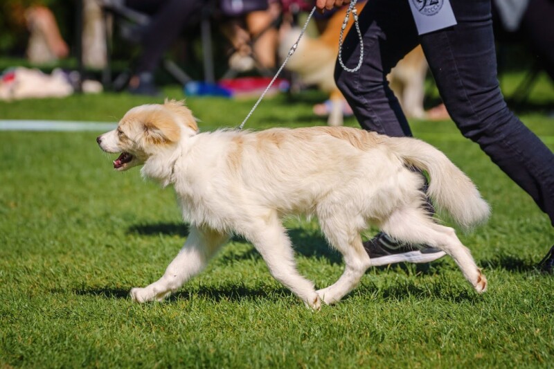 92_Ice Charming Ria Magic Bond_VP2__7